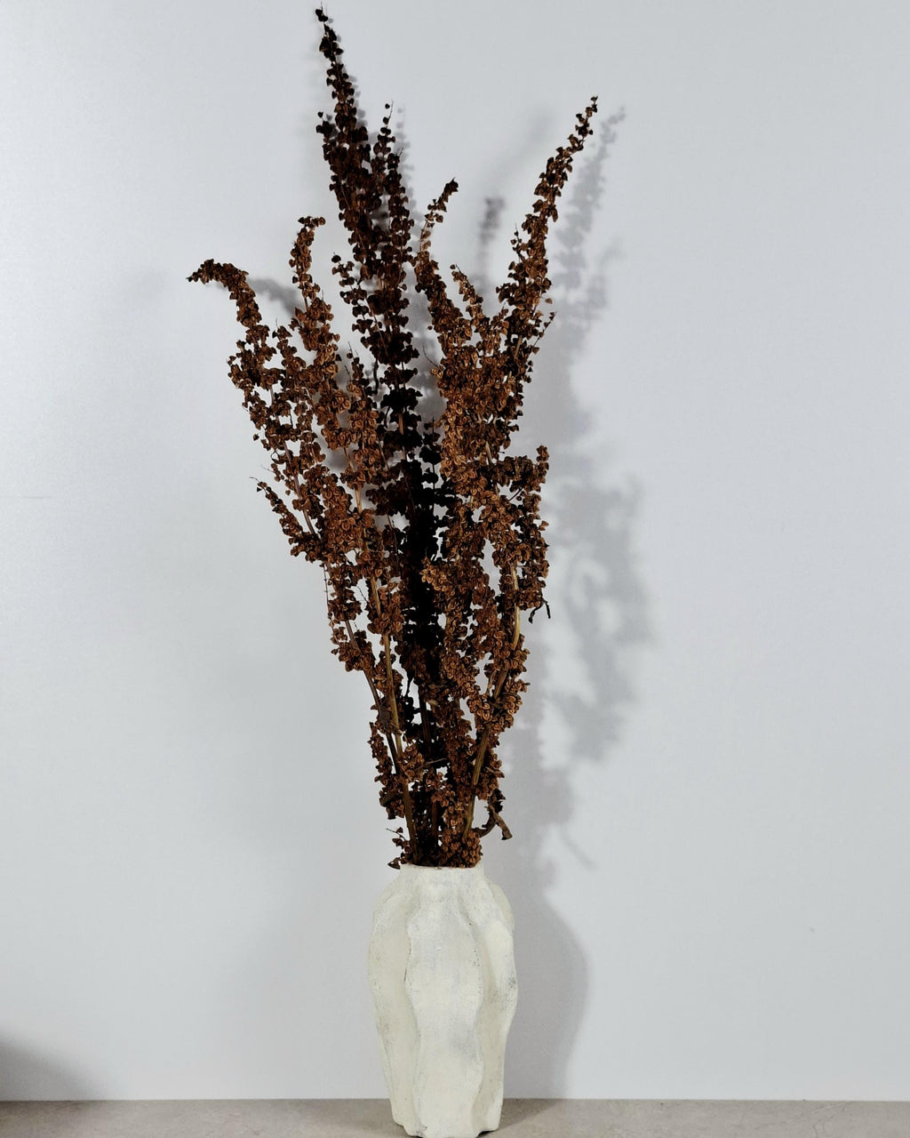 Brick Brown Dried Flower Stems | Wild Dock Bouquet | Terracotta Botanical Decor | Rustic Dried Flowers | Florist Stems