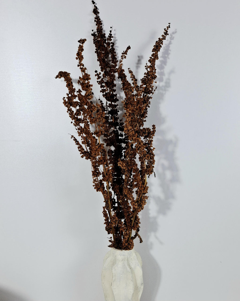 Brick Brown Dried Flower Stems | Wild Dock Bouquet | Terracotta Botanical Decor | Rustic Dried Flowers | Florist Stems