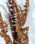 Brick Brown Dried Flower Stems | Wild Dock Bouquet | Terracotta Botanical Decor | Rustic Dried Flowers | Florist Stems