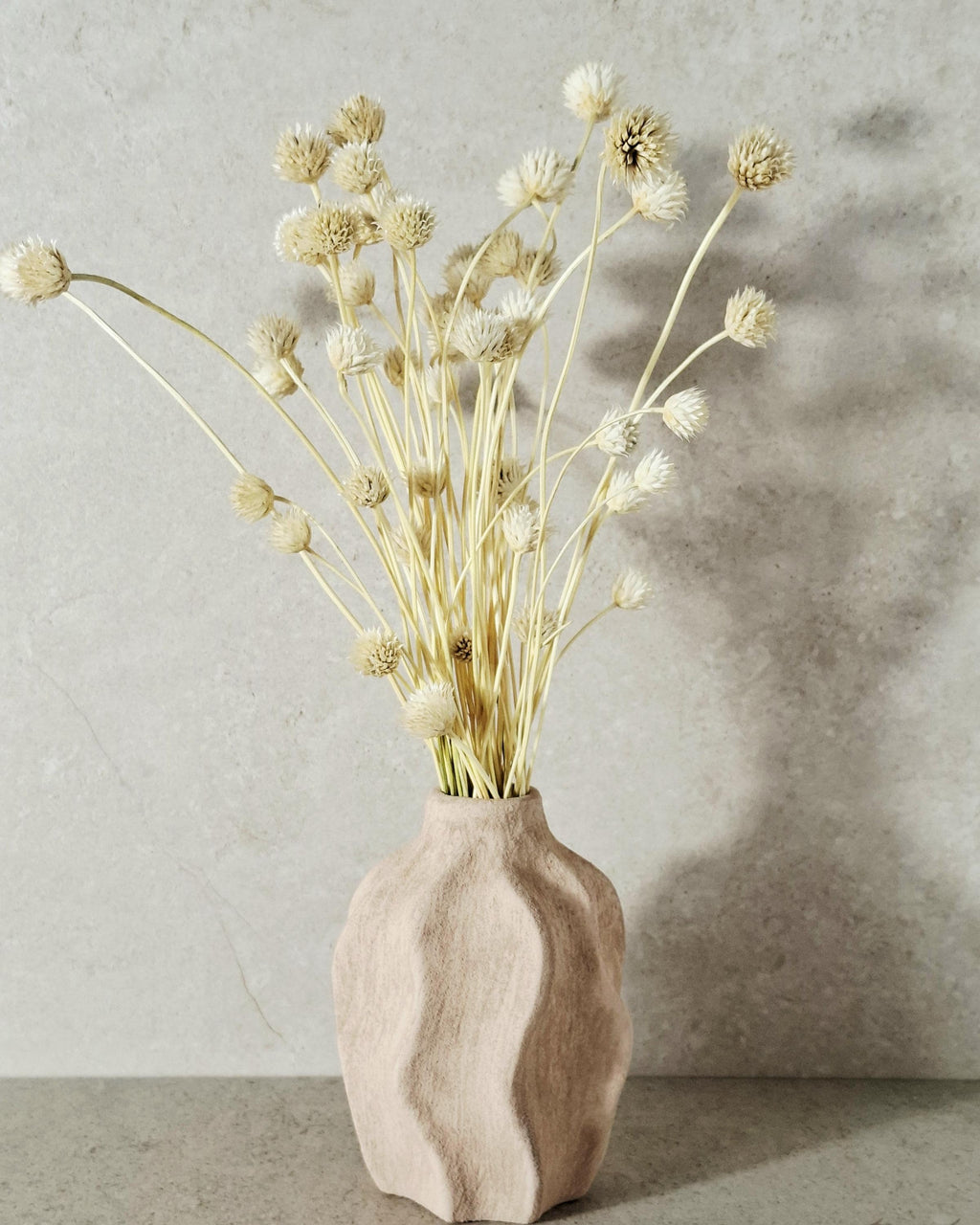Bleached Flower Stems, Dried Flower Stems, Ivory Dried Flowers, Florist Supplies, Neutral Dried Decor, Preserved Flowers