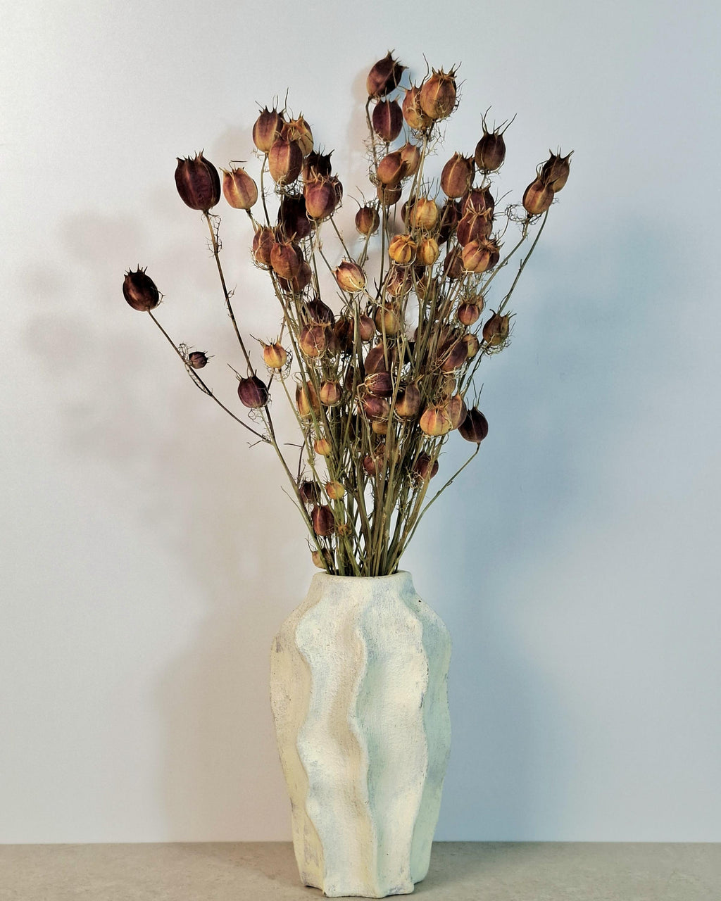 Dried Nigella Pods | Natural Nigella Damascena | Dried Seed Pods Bouquet | Rustic Floral Decor | Florist Supplies