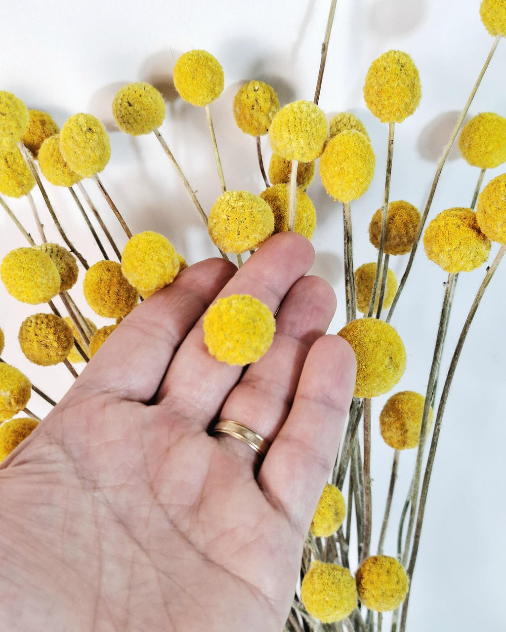 Craspedia Bouquet, Yellow Billy Balls, Dried Flower Bouquet, Boho Vase Decor, Wedding Florals, Modern Home Decor