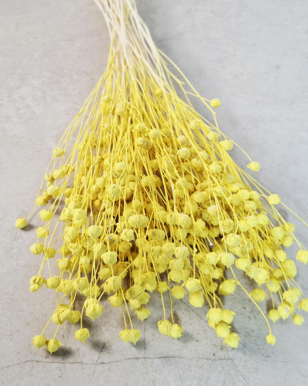 Dried Flax Stems for Florists, Yellow Dried Flax, Natural Floral Supplies, Dried Flower Bouquet, Floral Craft Material, Vase Decor