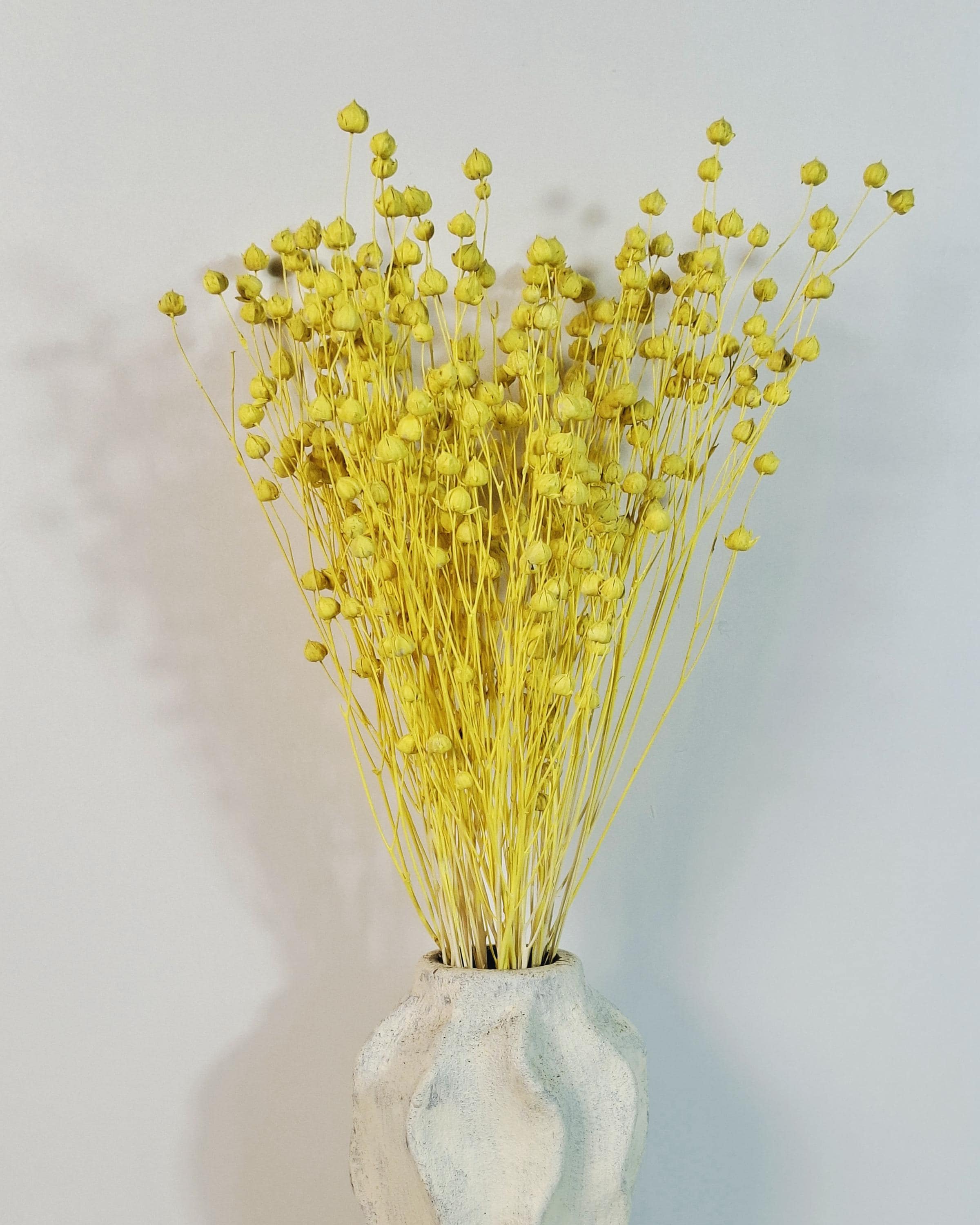 Dried Flax Stems for Florists, Yellow Dried Flax, Natural Floral Supplies, Dried Flower Bouquet, Floral Craft Material, Vase Decor
