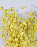Dried Flax Stems for Florists, Yellow Dried Flax, Natural Floral Supplies, Dried Flower Bouquet, Floral Craft Material, Vase Decor