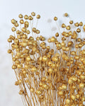 Gold Dried Flax Stems, Metallic Dried Flowers, Florist Supplies, Gold Floral Stems, DIY Wedding Decor, Vase Filler