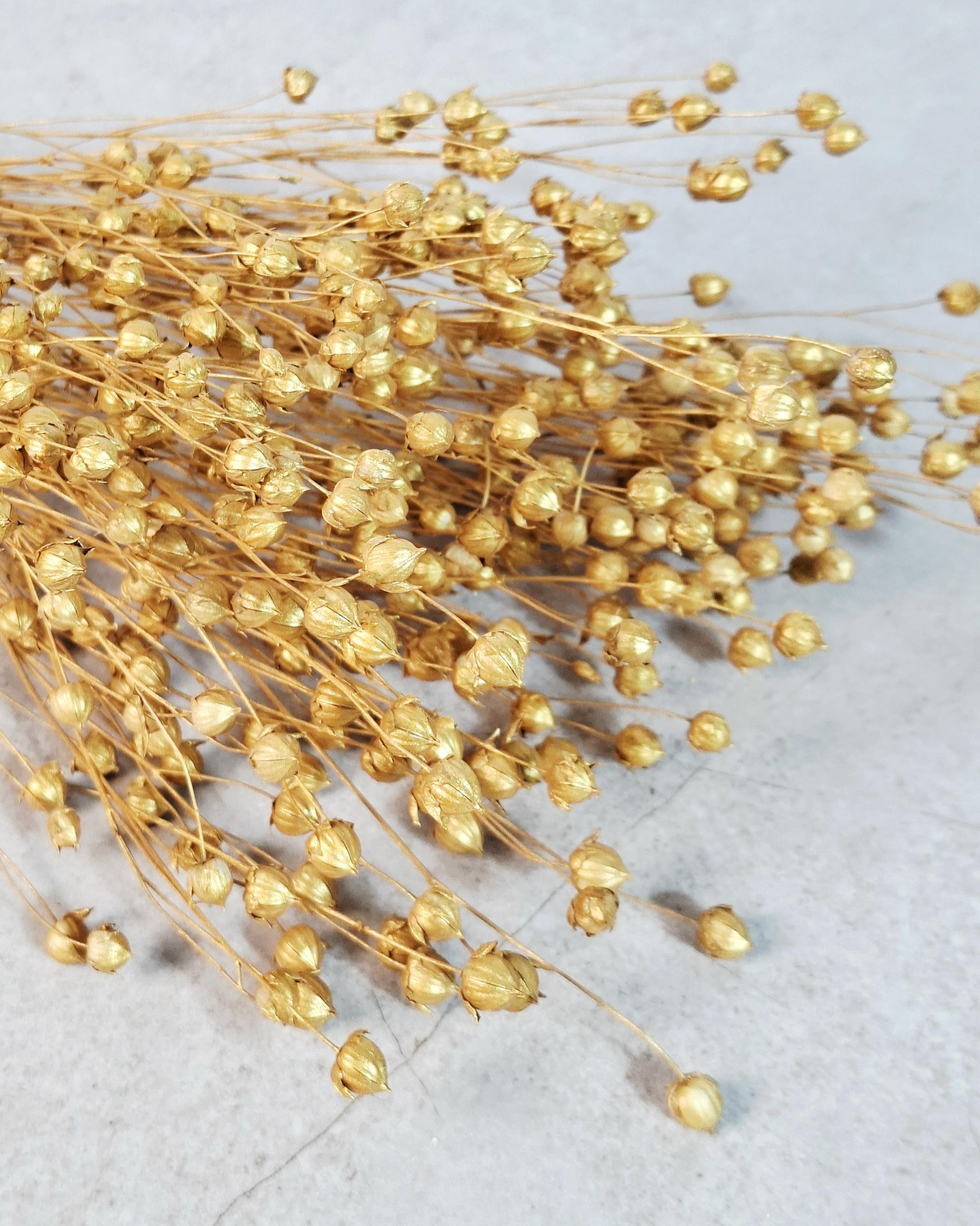 Gold Dried Flax Stems, Metallic Dried Flowers, Florist Supplies, Gold Floral Stems, DIY Wedding Decor, Vase Filler