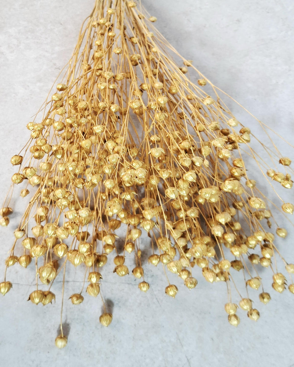 Gold Dried Flax Stems, Metallic Dried Flowers, Florist Supplies, Gold Floral Stems, DIY Wedding Decor, Vase Filler