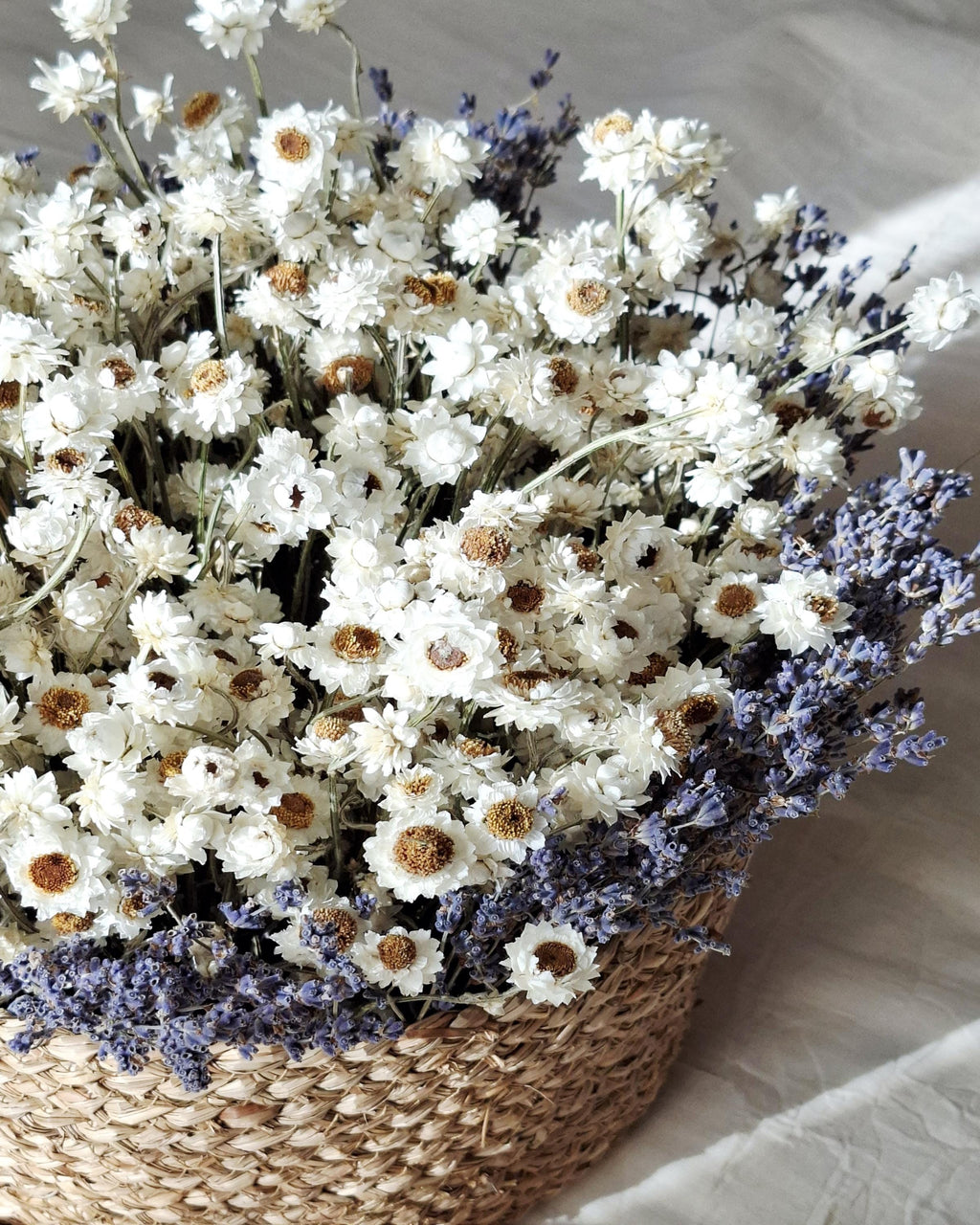 White Dried Flower Basket, Stabilized Ammobium & Lavender Arrangement, Scandinavian Botanical Decor, Minimalist Floral Centerpiece