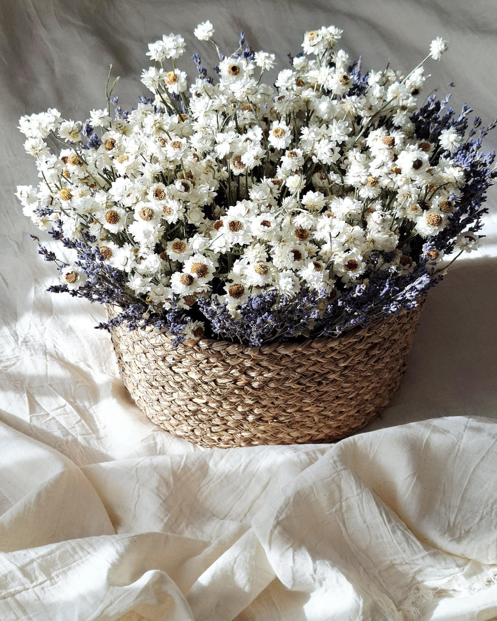 White Dried Flower Basket, Stabilized Ammobium & Lavender Arrangement, Scandinavian Botanical Decor, Minimalist Floral Centerpiece