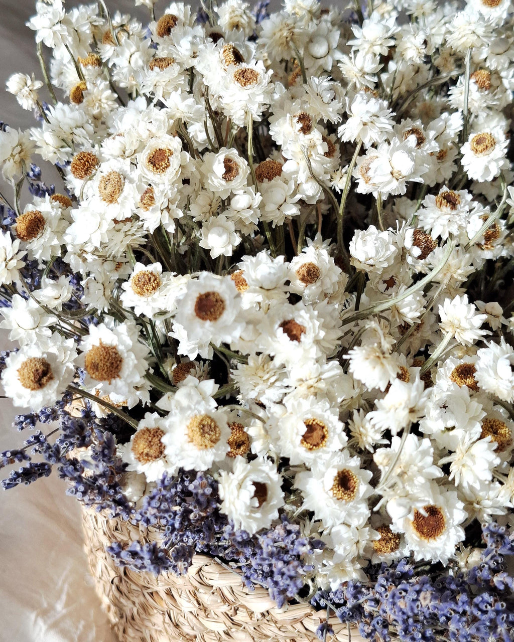 White Dried Flower Basket, Stabilized Ammobium & Lavender Arrangement, Scandinavian Botanical Decor, Minimalist Floral Centerpiece