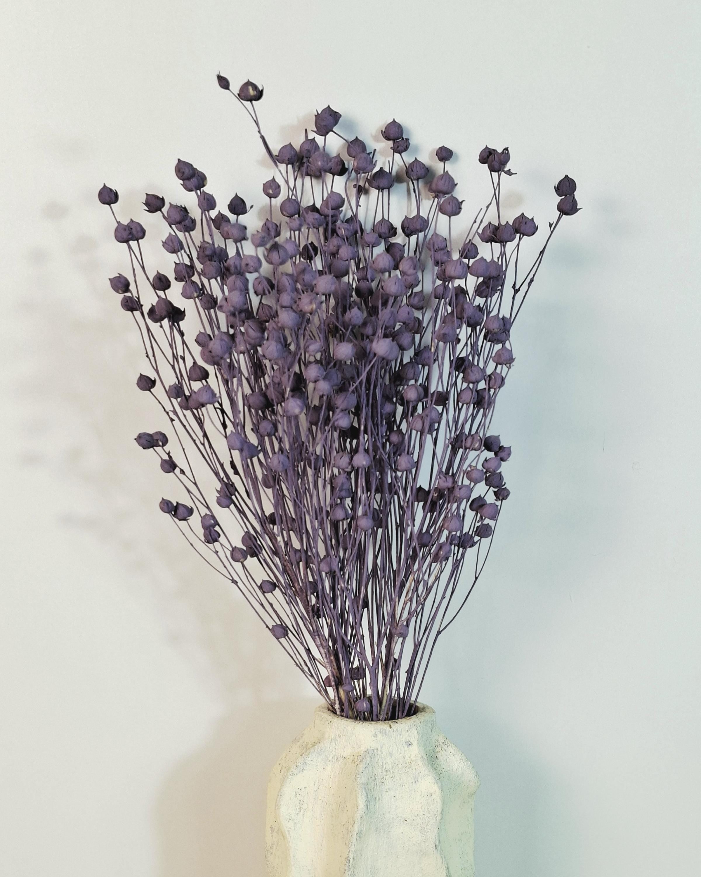 Purple Dried Flax Stems, Preserved Flax Bundle, Lavender Dried Flowers, Florist Supply, Dried Botanical Stems