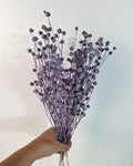 Purple Dried Flax Stems, Preserved Flax Bundle, Lavender Dried Flowers, Florist Supply, Dried Botanical Stems