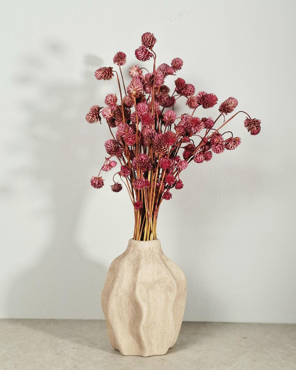 Pink Globe Amaranth Stems | Preserved Gomphrena Flowers | Dried Floral Supply | Pink Dried Flowers | Florist Material