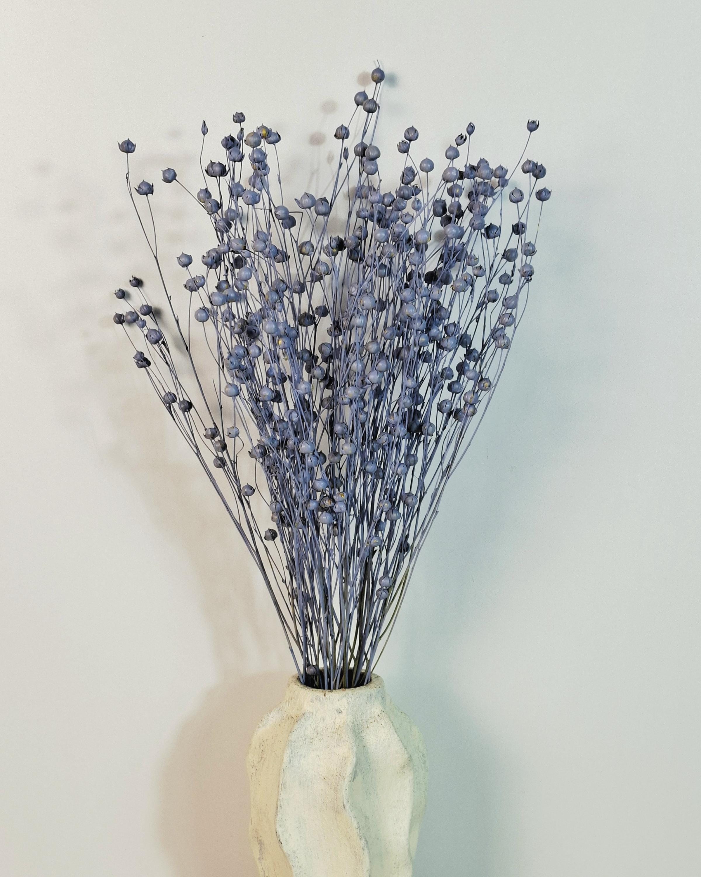 Dusty Blue Dried Flax Stems | Preserved Flax Bundle | Dried Botanical Stems | Florist Supply | Blue Dried Flowers
