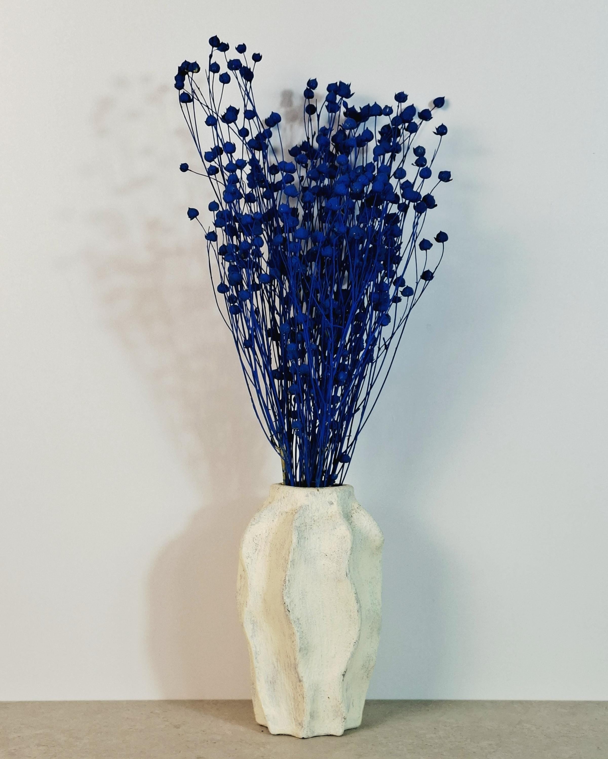 Electric Blue Dried Flax Stems | Preserved Flax Bundle | Blue Dried Flowers | Florist Supply | Dried Botanical Stems