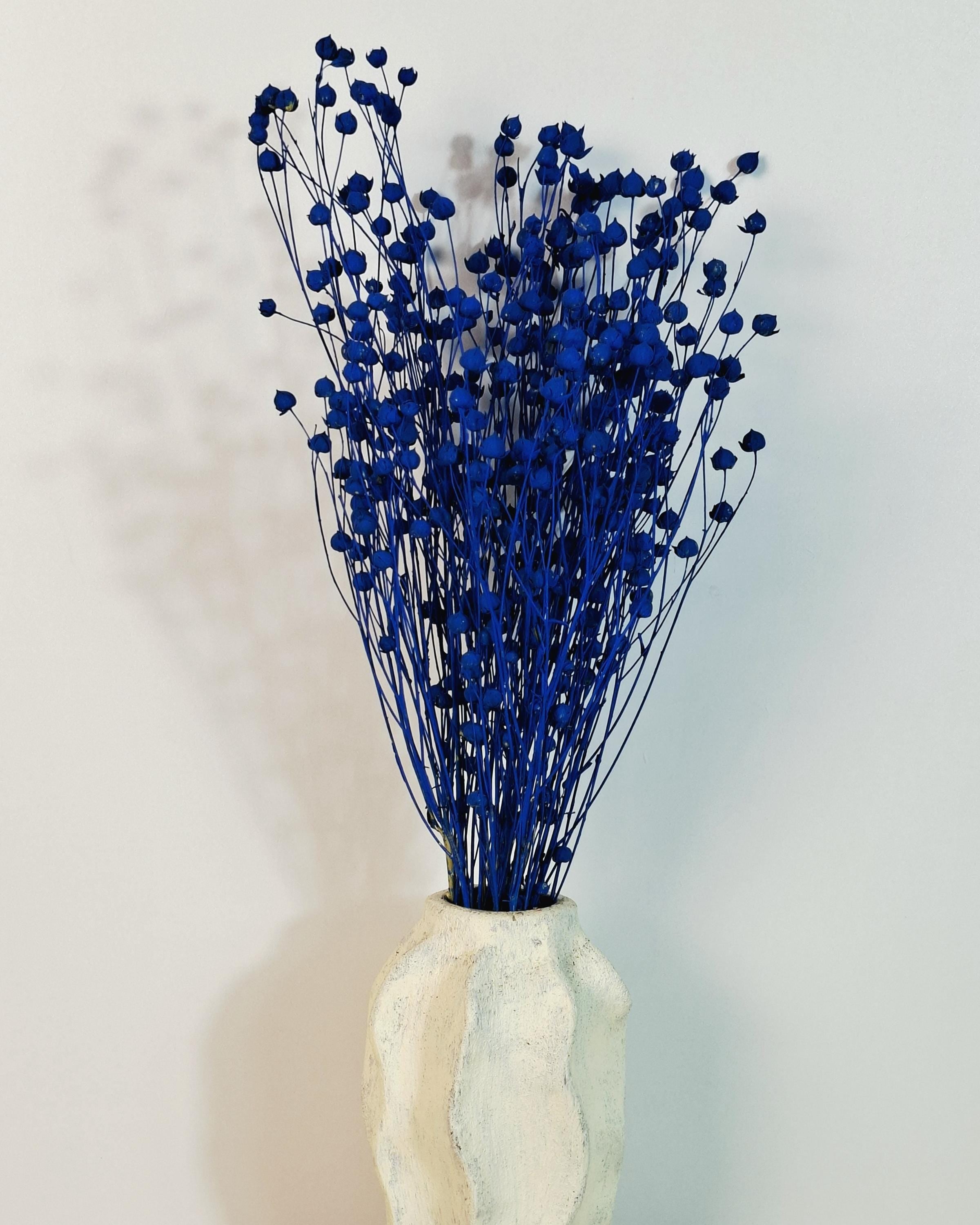 Electric Blue Dried Flax Stems | Preserved Flax Bundle | Blue Dried Flowers | Florist Supply | Dried Botanical Stems