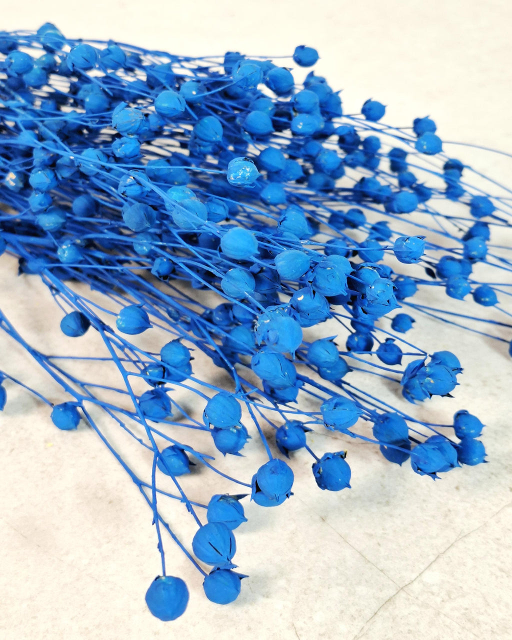 Electric Blue Dried Flax Stems | Preserved Flax Bundle | Blue Dried Flowers | Florist Supply | Dried Botanical Stems