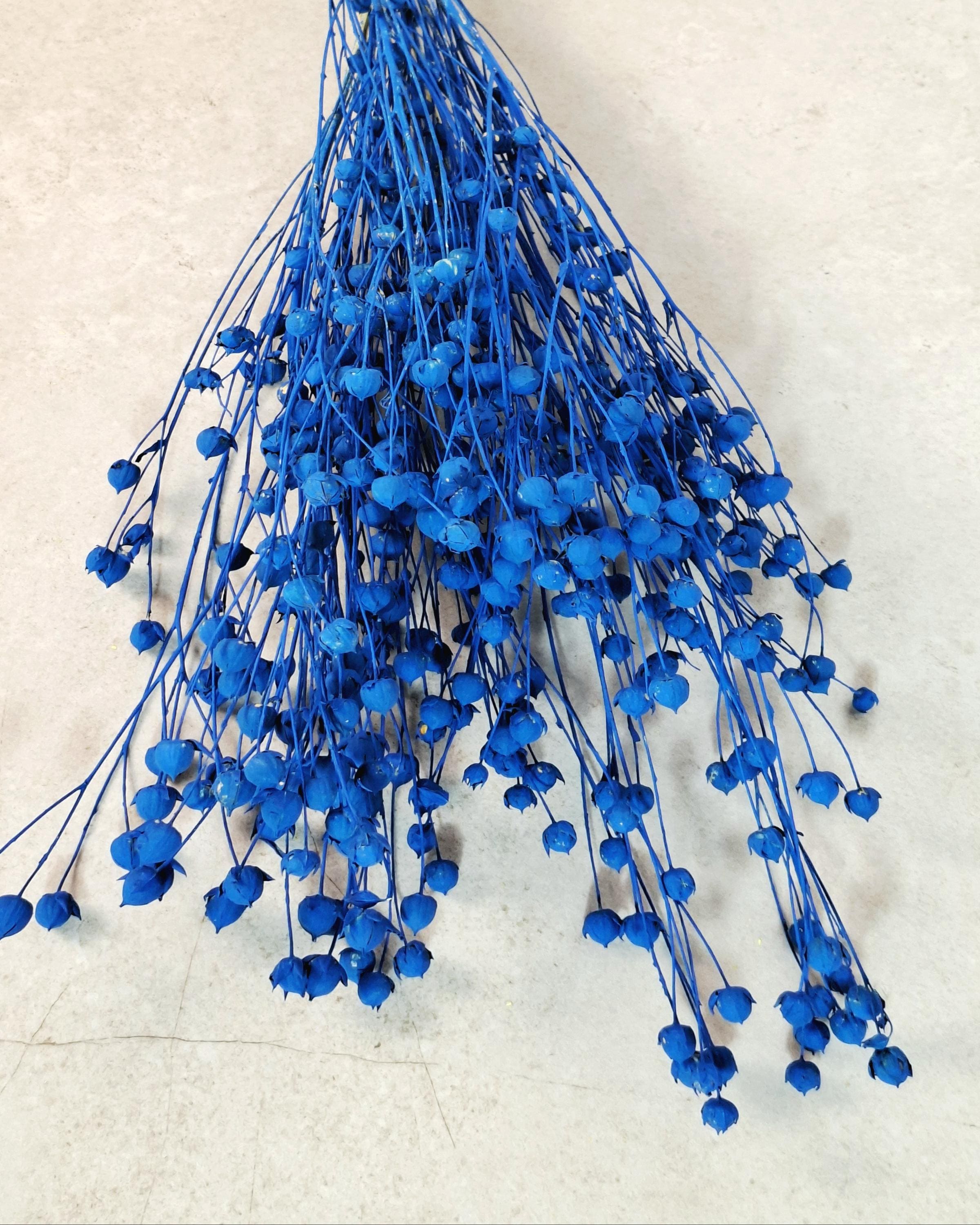 Electric Blue Dried Flax Stems | Preserved Flax Bundle | Blue Dried Flowers | Florist Supply | Dried Botanical Stems