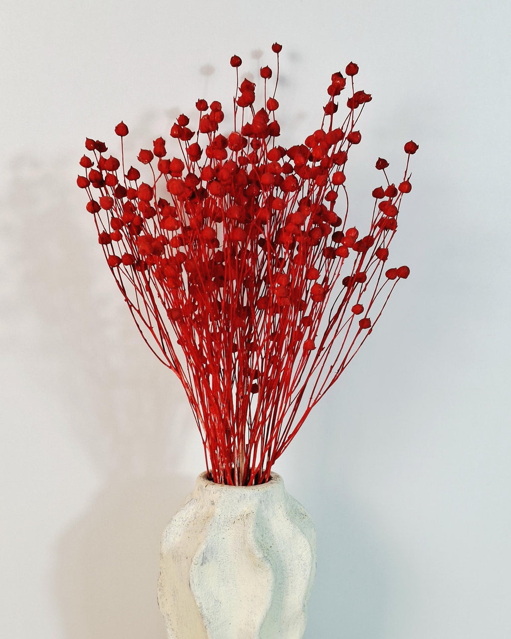 Bright Red Dried Flax Stems | Preserved Flax Stems | Florist Supply | Dyed Botanical Stems