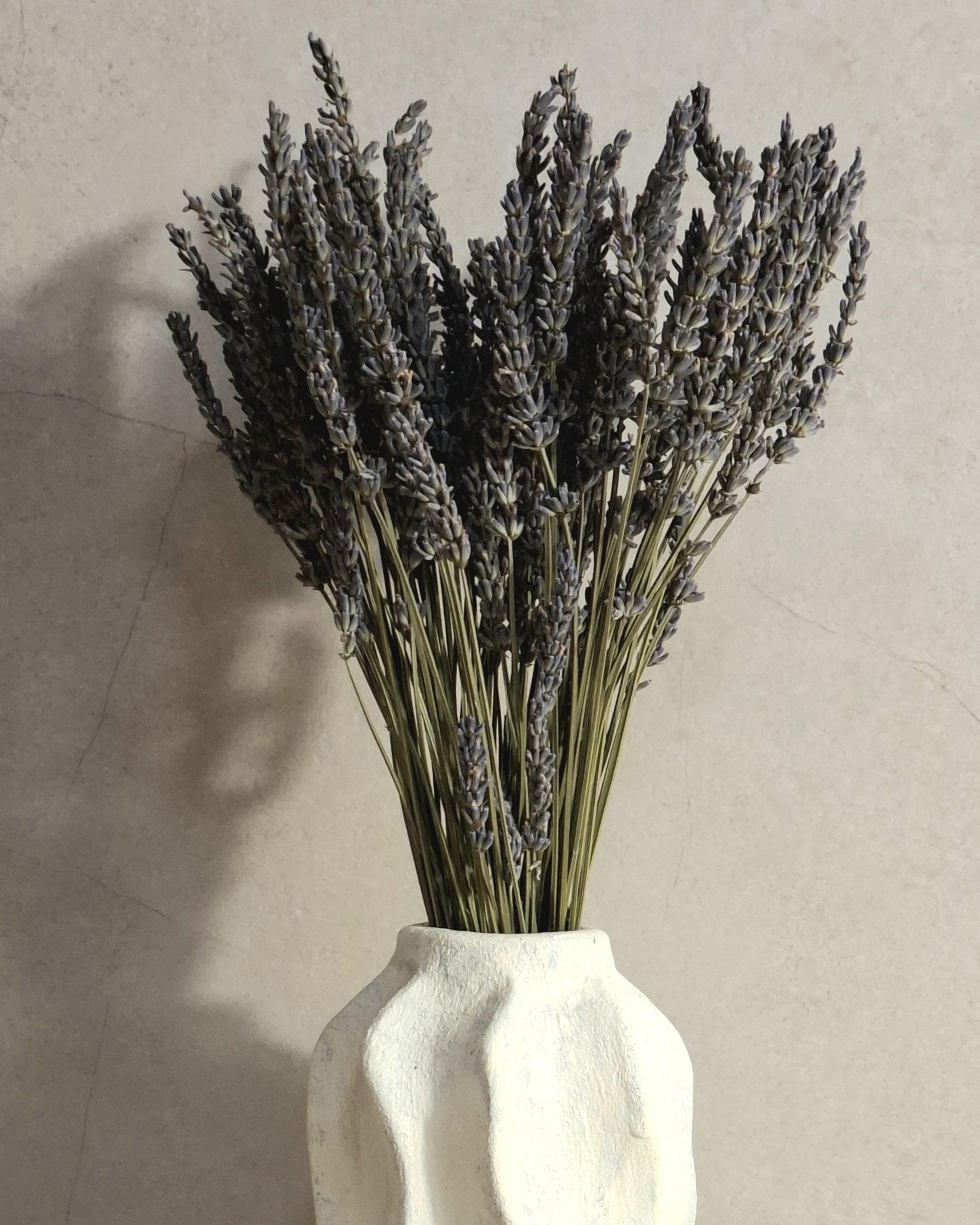 Dried Flower Bouquet | Preserved Lavender Bouquet | Minimalist Botanical Arrangement | Natural Home Decor
