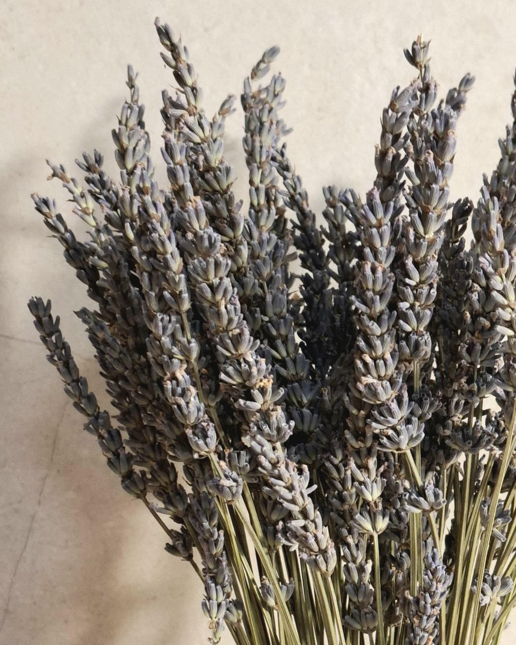 Dried Flower Bouquet | Preserved Lavender Bouquet | Minimalist Botanical Arrangement | Natural Home Decor
