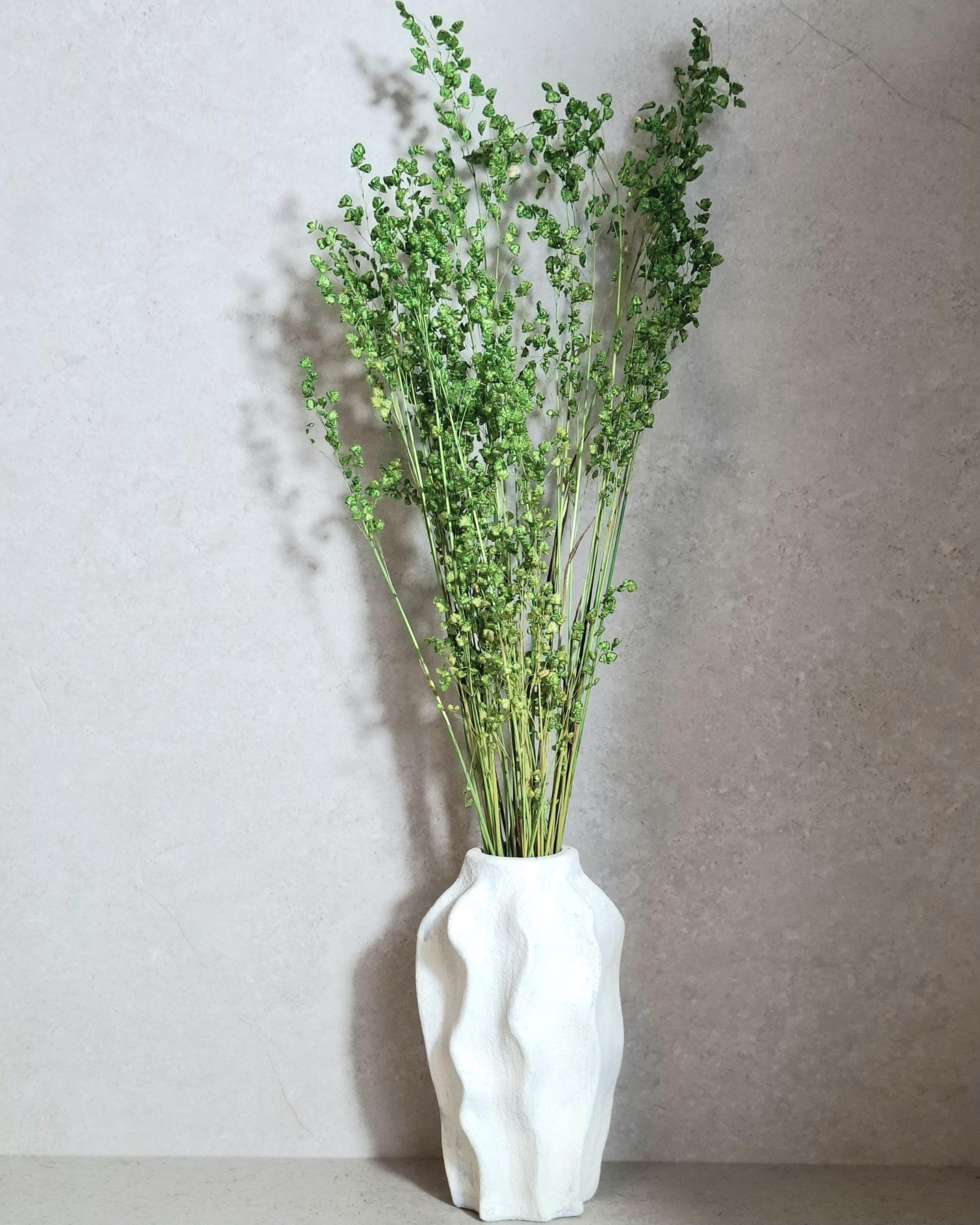 Dried Flower Bouquet | Preserved Briza Bouquet | Minimalist Botanical Arrangement | Natural Green Bouquet | Wildflower Deco