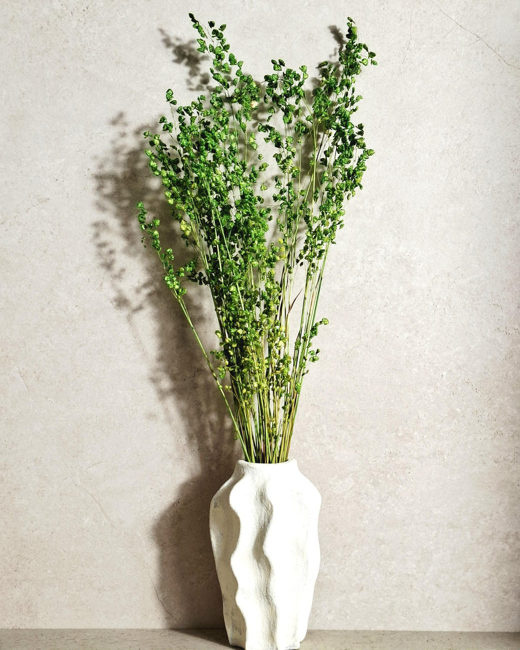 Dried Flower Bouquet | Preserved Briza Bouquet | Minimalist Botanical Arrangement | Natural Green Bouquet | Wildflower Deco