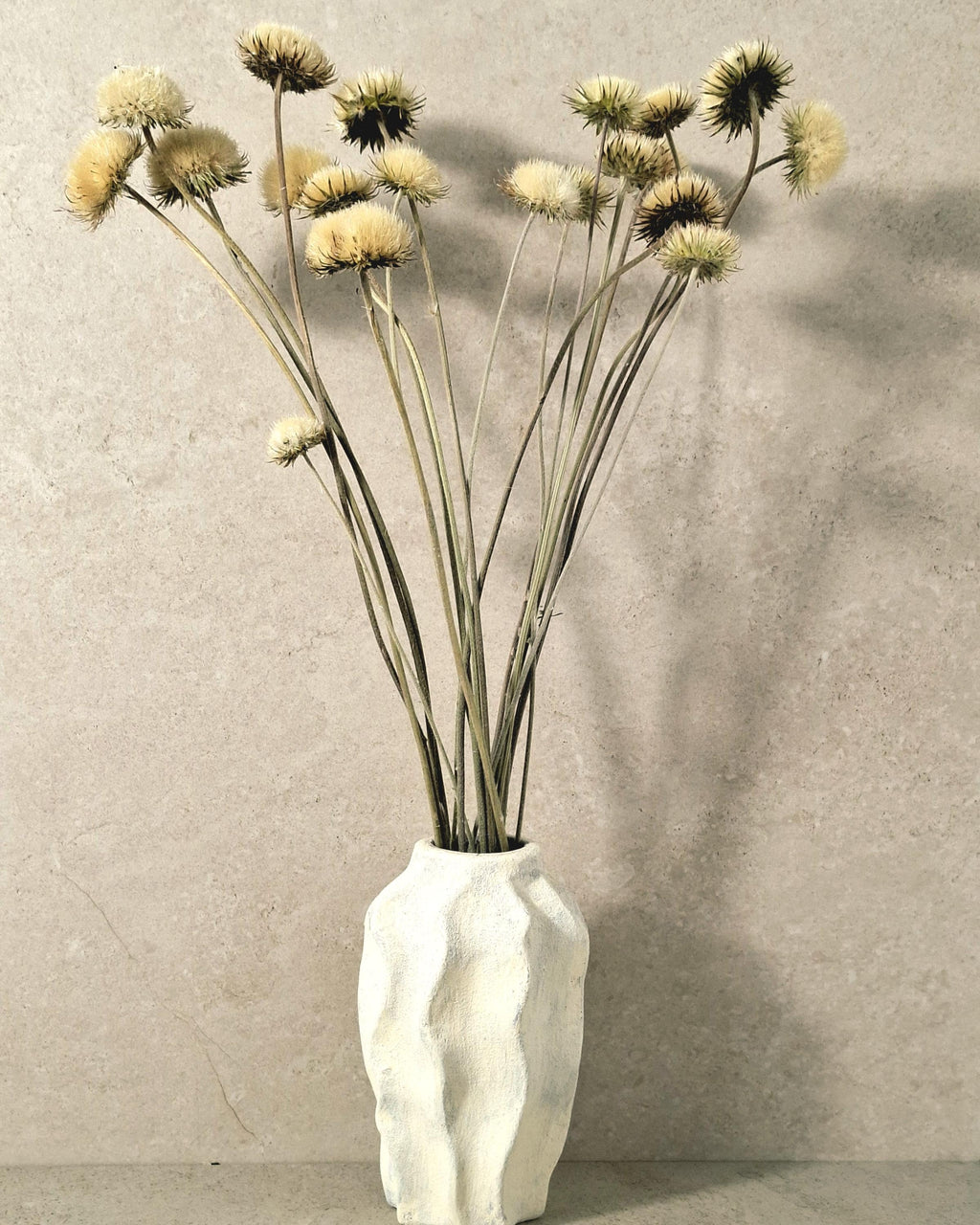 Yurirea Dried Flower Bouquet, Minimalist Botanical Arrangement, Preserved Flower Bouquet, Neutral Scandi Decor, Natural Dried Flowers