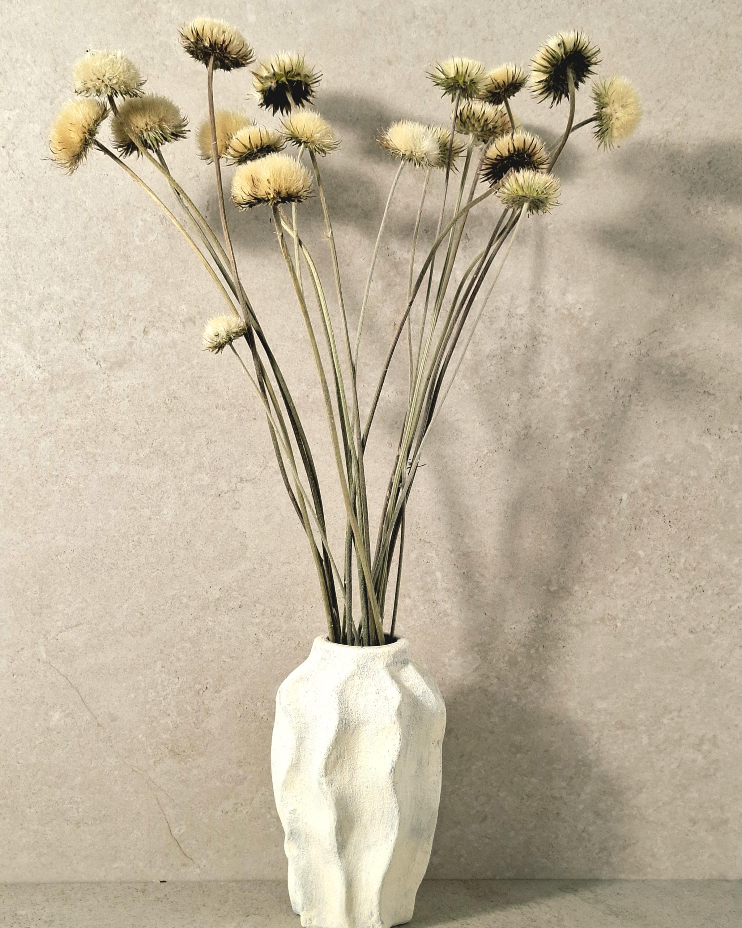 Yurirea Dried Flower Bouquet, Minimalist Botanical Arrangement, Preserved Flower Bouquet, Neutral Scandi Decor, Natural Dried Flowers