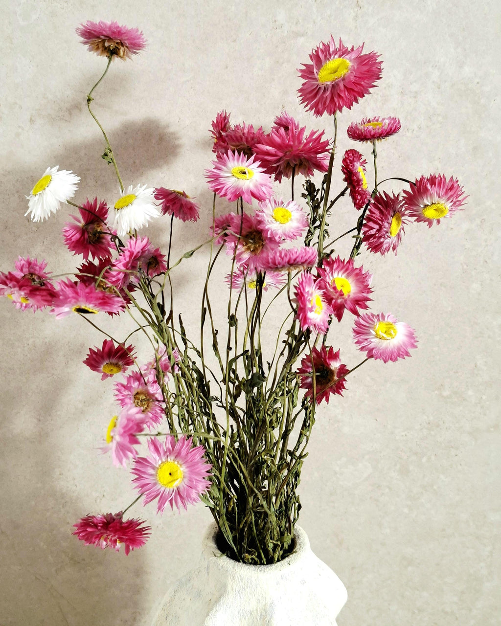 Dried Helichrysum Bouquet Pink | Everlasting Strawflowers | Natural Dried Flowers | Boho Vase Decor | Wedding Arrangement