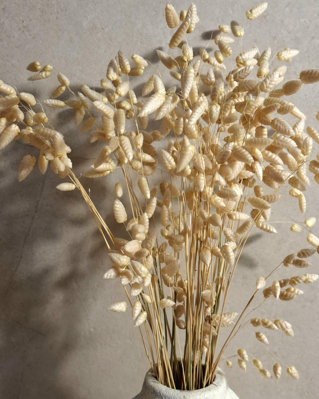 Dried Briza Bouquet | Stabilized Dried Flowers | Neutral Botanical Decor | Minimalist Scandi Bouquet | Natural Vase Arrangement