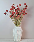 Red Gomphrena Bouquet | Dried Flower Bouquet | Preserved Flower Arrangement | Botanical Home Decor | Natural Floral Decor