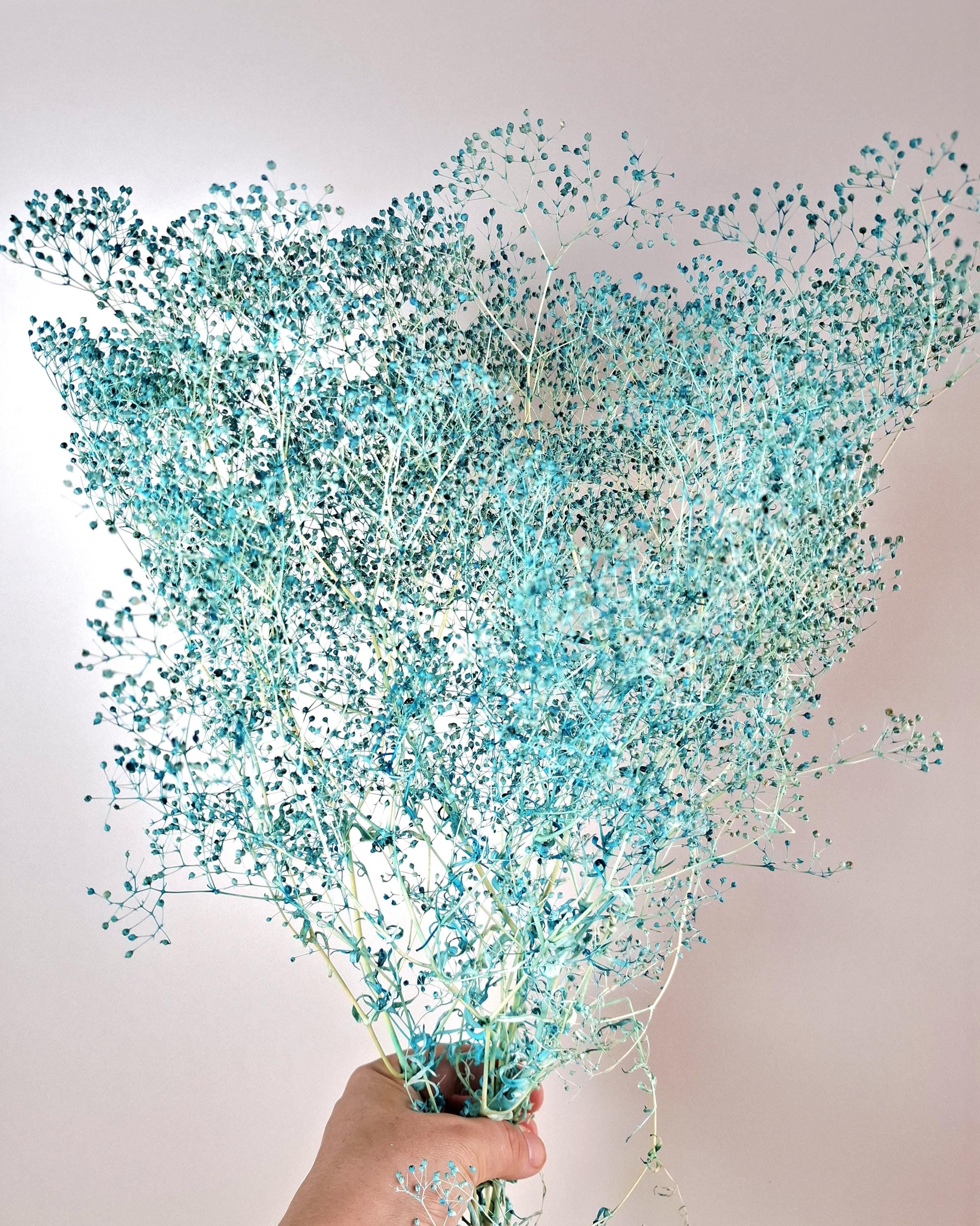 White Red Baby’s Breath Dried Flowers | Two Color Gypsophila Bouquet | Wedding Decor