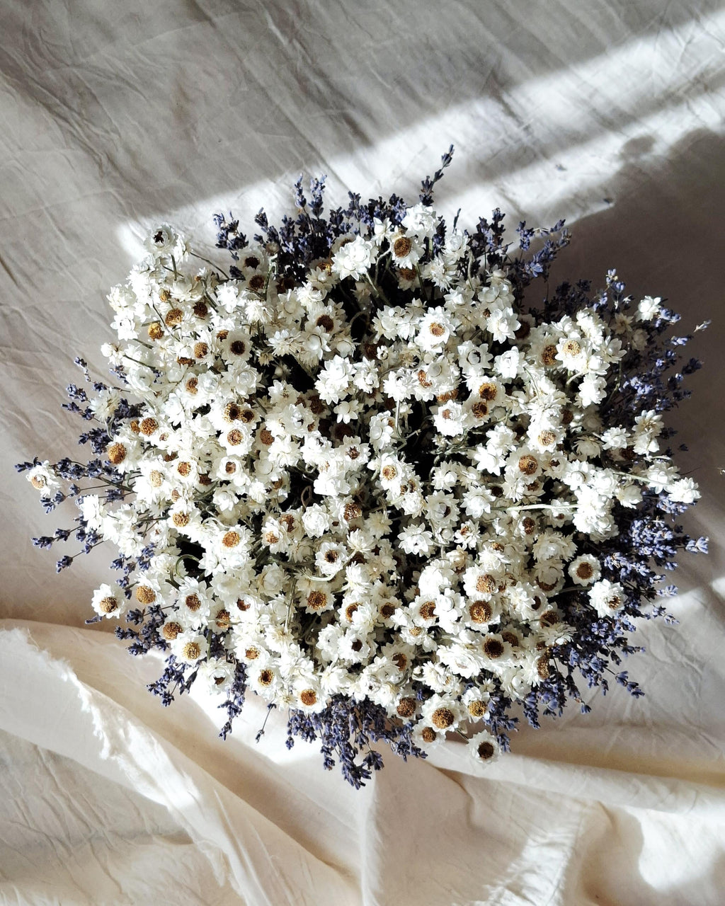 White Dried Flower Basket, Stabilized Ammobium & Lavender Arrangement, Scandinavian Botanical Decor, Minimalist Floral Centerpiece