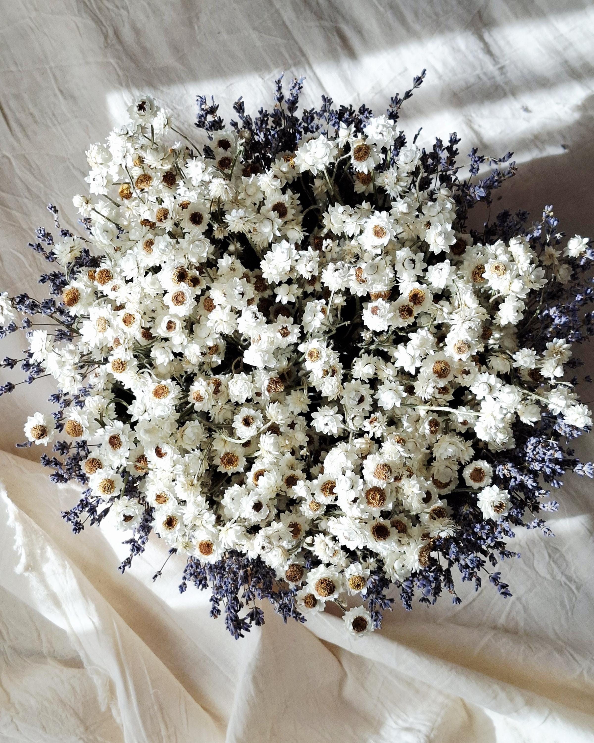 White Dried Flower Basket, Stabilized Ammobium & Lavender Arrangement, Scandinavian Botanical Decor, Minimalist Floral Centerpiece