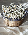 White Dried Flower Basket, Stabilized Ammobium & Lavender Arrangement, Scandinavian Botanical Decor, Minimalist Floral Centerpiece