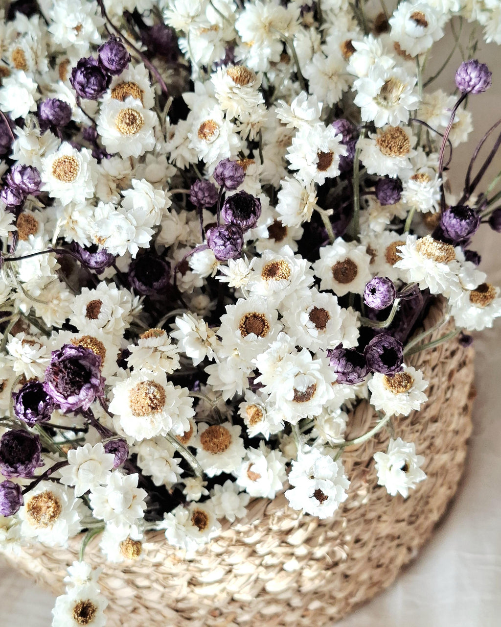 White & Dark Lilac Dried Ammobium Basket – Everlasting Flower Arrangement – Minimalist Botanical Decor – Natural Floral Basket
