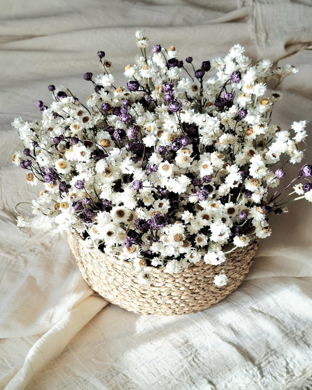 White & Dark Lilac Dried Ammobium Basket – Everlasting Flower Arrangement – Minimalist Botanical Decor – Natural Floral Basket