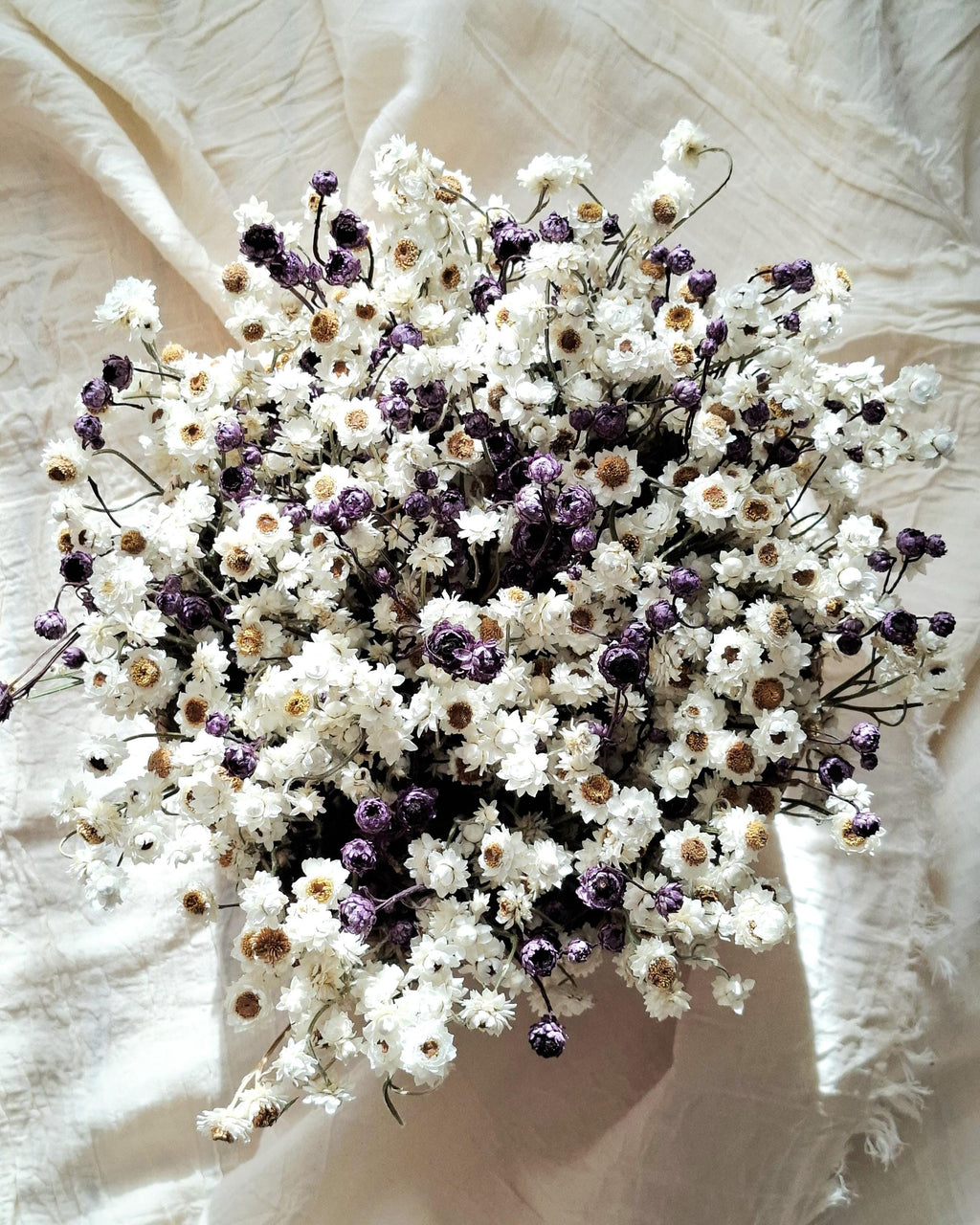 White & Dark Lilac Dried Ammobium Basket – Everlasting Flower Arrangement – Minimalist Botanical Decor – Natural Floral Basket