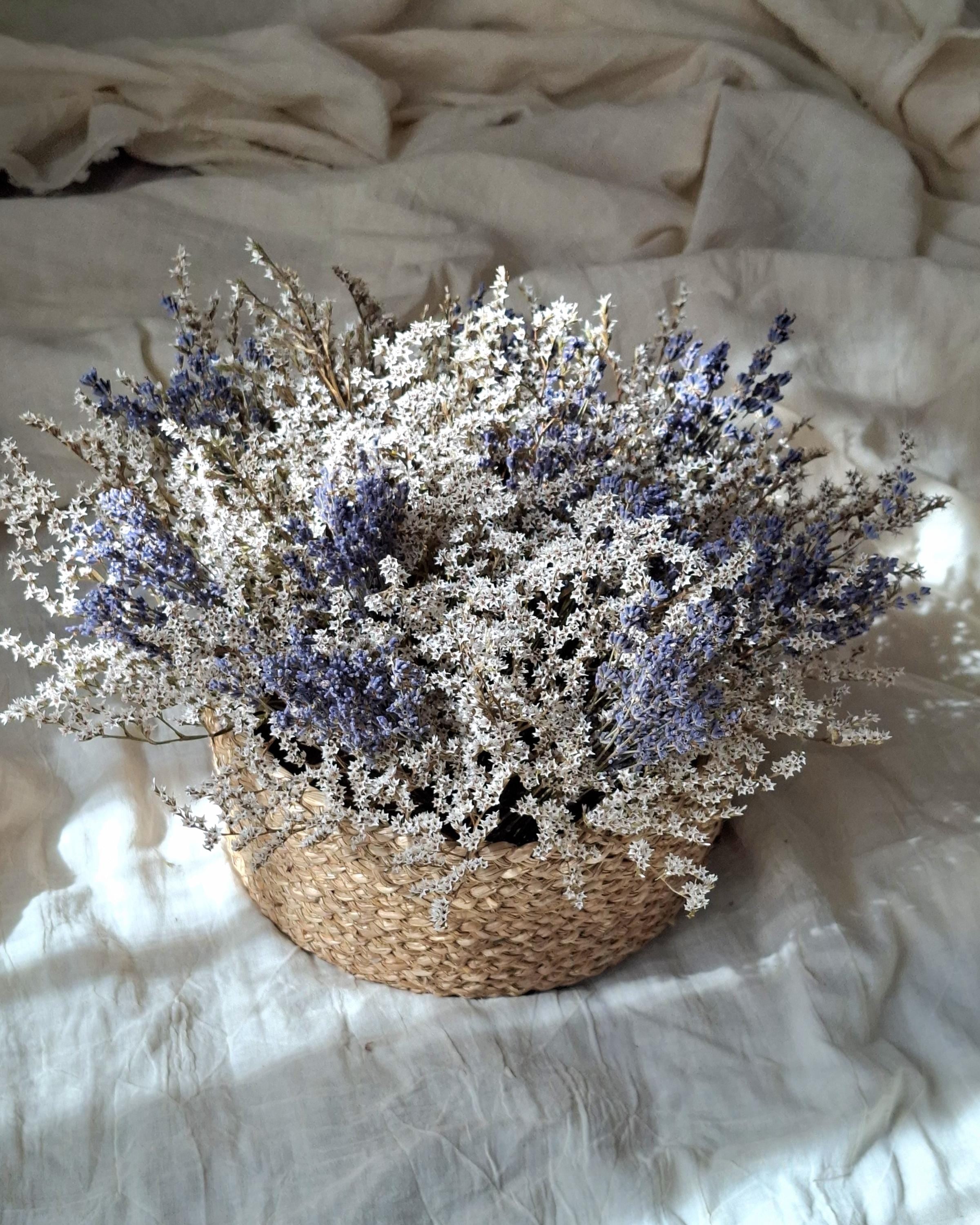 Lavender Dried Flower Basket – Preserved Lavender Arrangement – Botanical Table Centerpiece – Natural Floral Basket