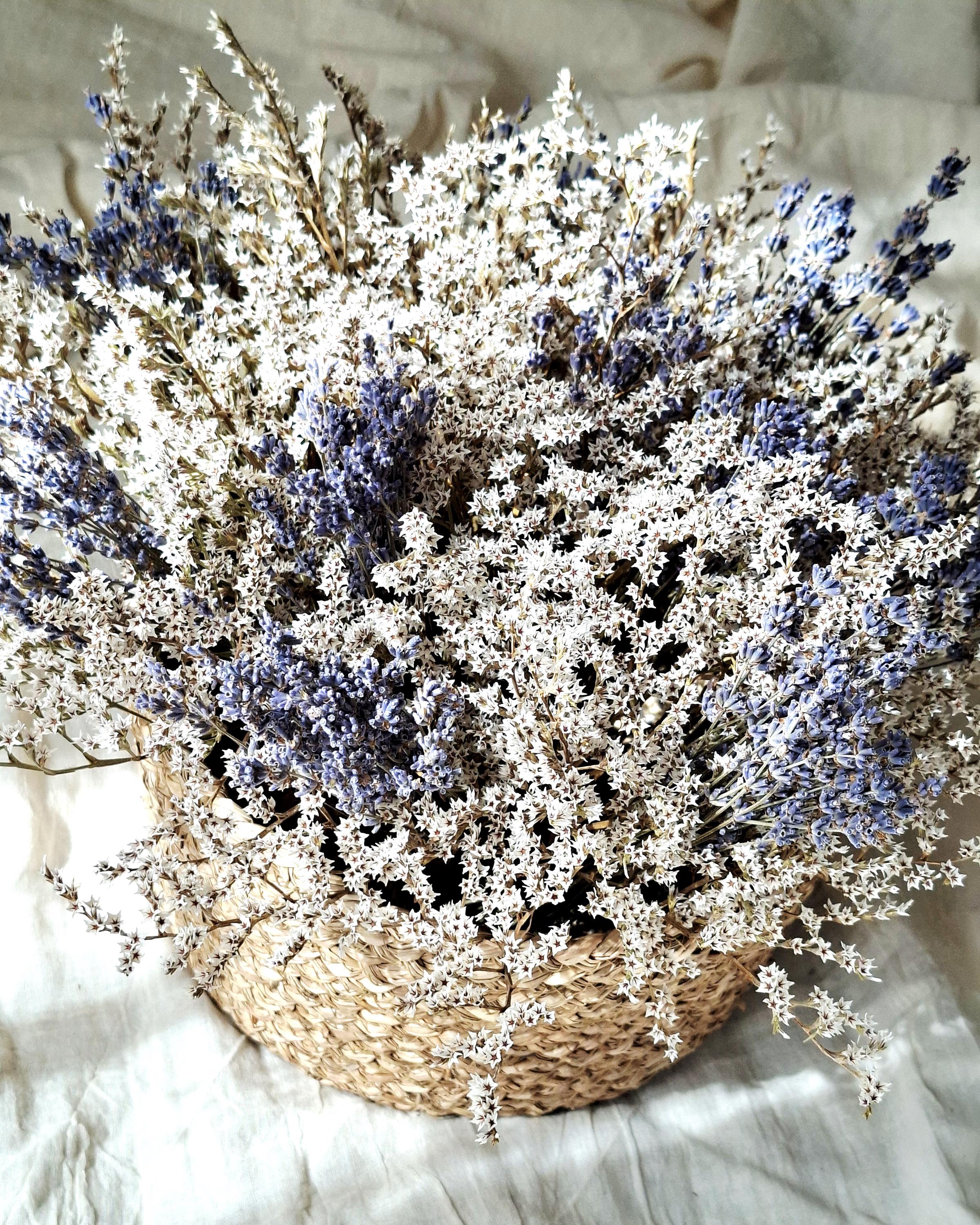 Lavender Dried Flower Basket – Preserved Lavender Arrangement – Botanical Table Centerpiece – Natural Floral Basket