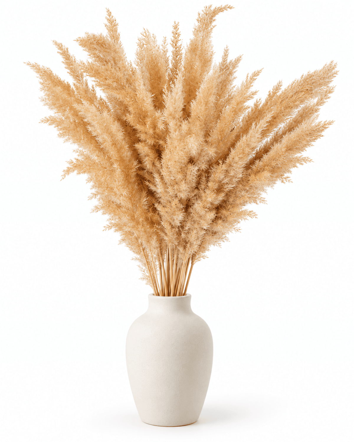 Natural Dried Calamagrostis Grass Stems - 60cm Fluffy Reed Grass (Bunch of 50) - Dried Flower Stems - Flor Chama Do Algarve