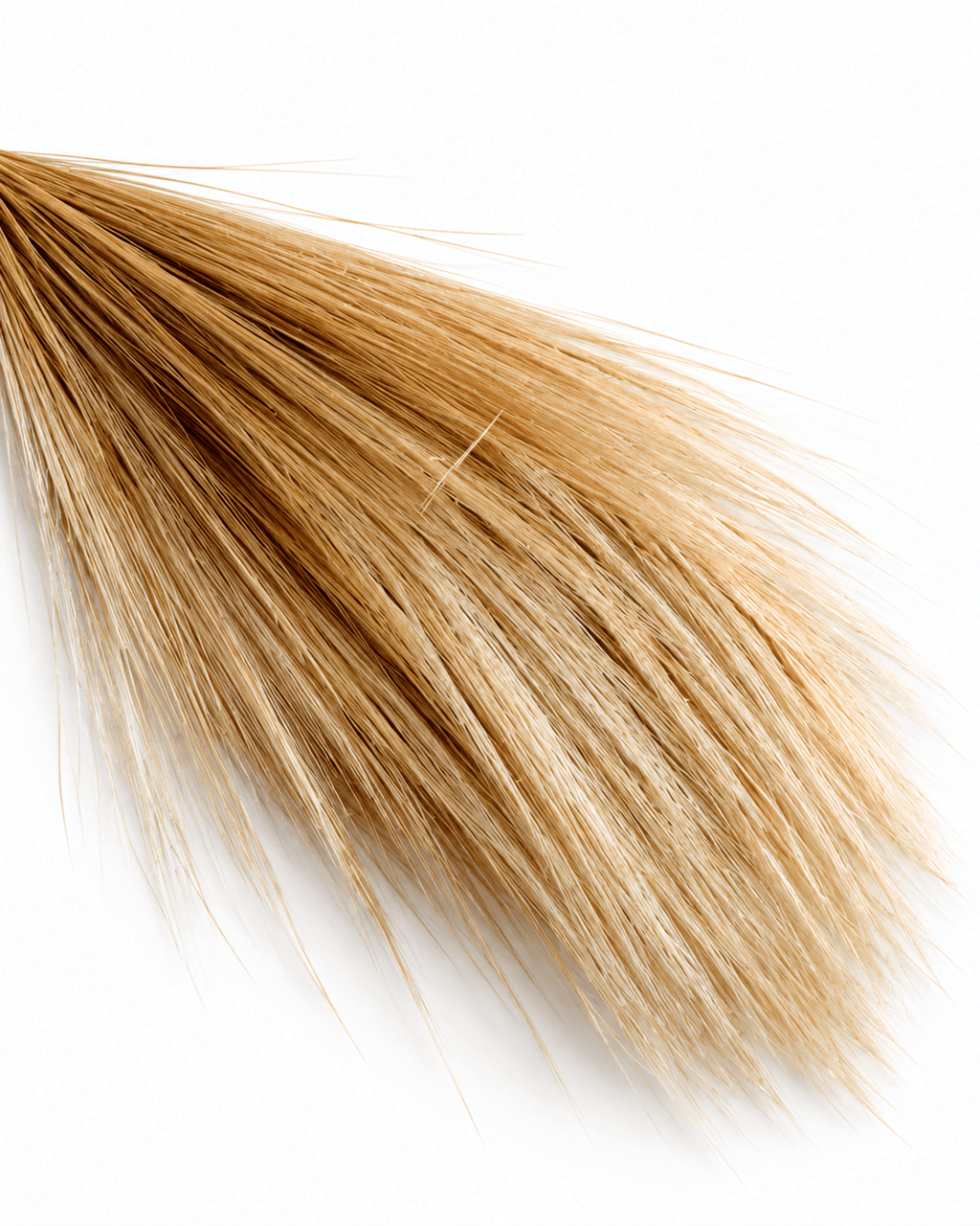 Natural Preserved Barba Grass Bunch - 100g 70cm Feather Grass Plumes - Dried Flower Stems - Flor Chama Do Algarve
