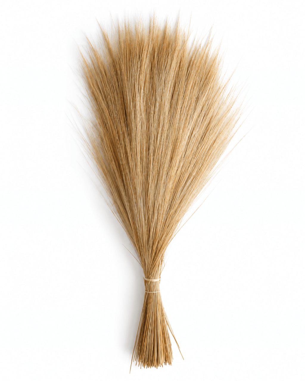 Natural Preserved Barba Grass Bunch - 100g 70cm Feather Grass Plumes - Dried Flower Stems - Flor Chama Do Algarve