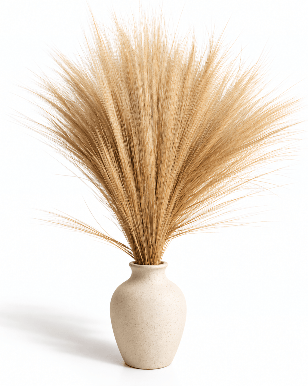 Natural Preserved Barba Grass Bunch - 100g 70cm Feather Grass Plumes - Dried Flower Stems - Flor Chama Do Algarve