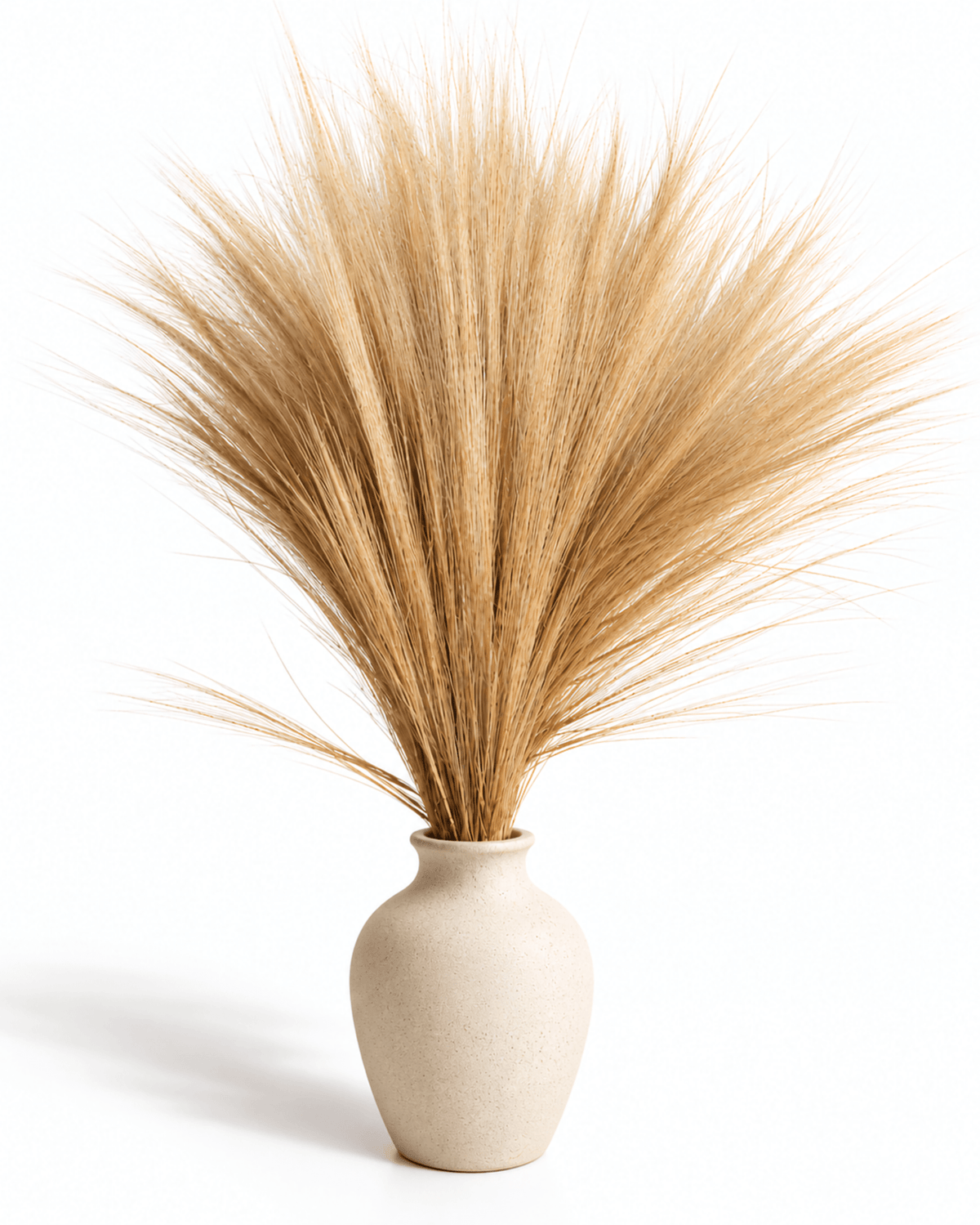 Natural Preserved Barba Grass Bunch - 100g 70cm Feather Grass Plumes - Dried Flower Stems - Flor Chama Do Algarve
