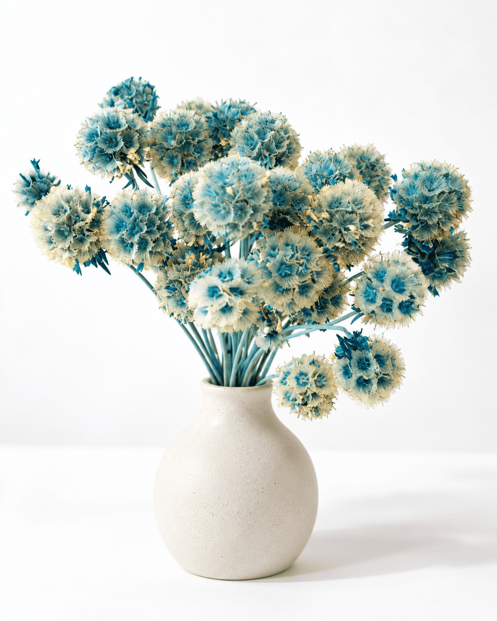 Preserved Blue Scabiosa Stems - 15-20cm Starflower Pods (Bunch of 10) - Dried Flower Stems - Flor Chama Do Algarve