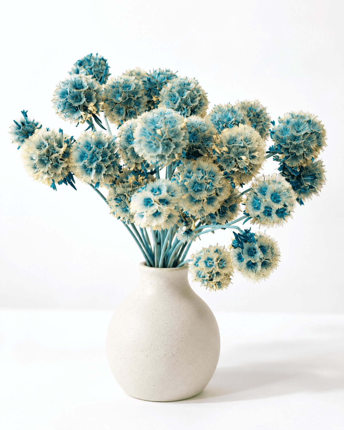 Preserved Blue Scabiosa Stems - 15-20cm Starflower Pods (Bunch of 10) - Dried Flower Stems - Flor Chama Do Algarve