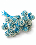 Preserved Blue Scabiosa Stems - 15-20cm Starflower Pods (Bunch of 10) - Dried Flower Stems - Flor Chama Do Algarve